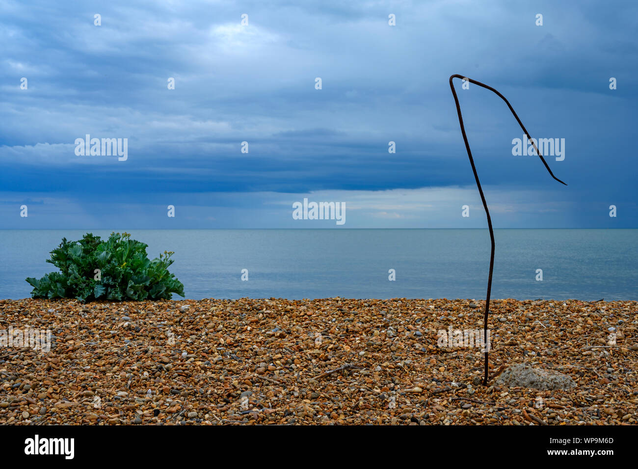 Erosi frangiflutti in cemento, Bawdsey traghetto, Suffolk, Regno Unito. Foto Stock