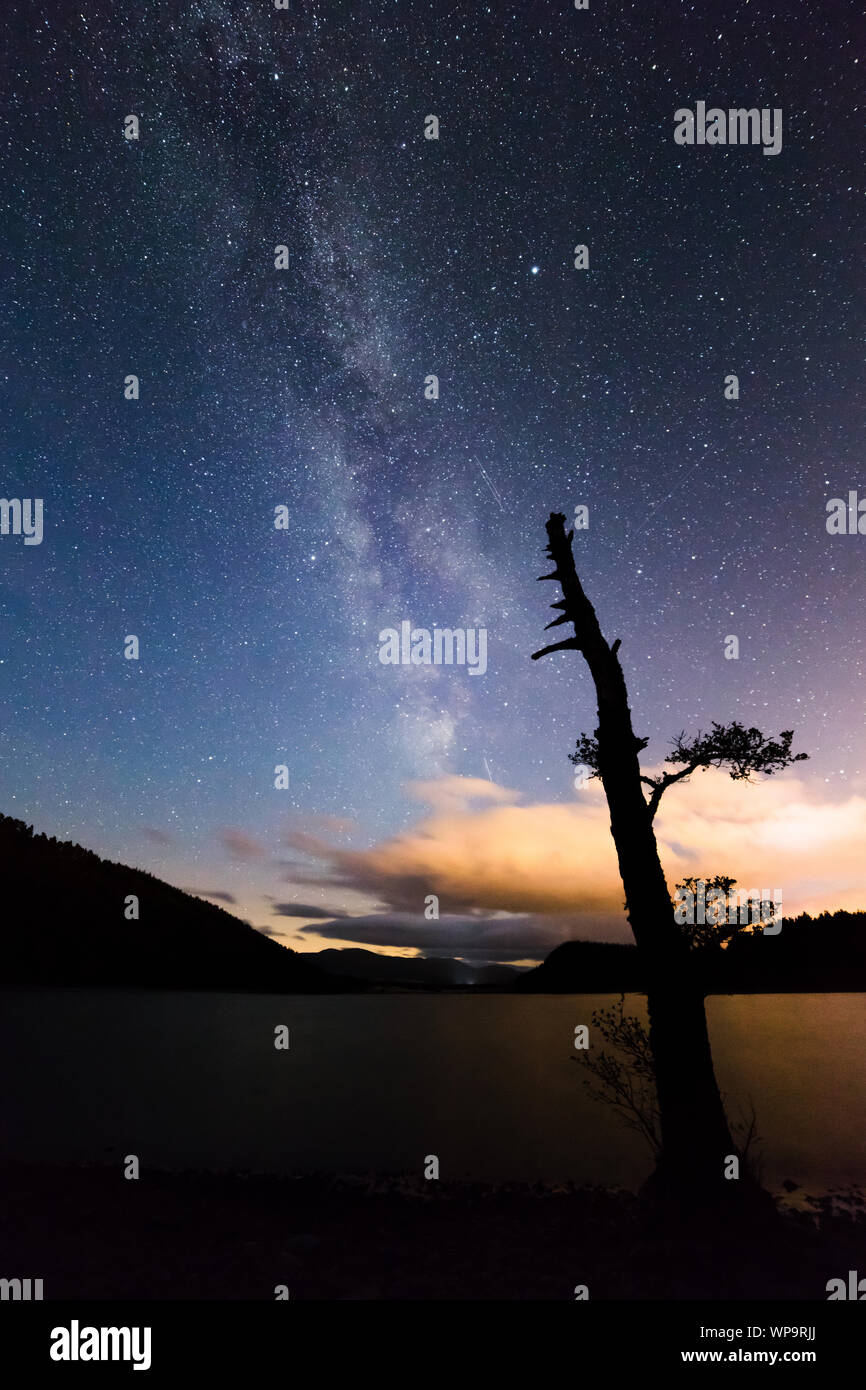 Il cielo di notte e la Via Lattea con la silhouette di un albero sul Loch Pityoulish nel Parco Nazionale di Cairngorms, Scotland, Regno Unito Foto Stock