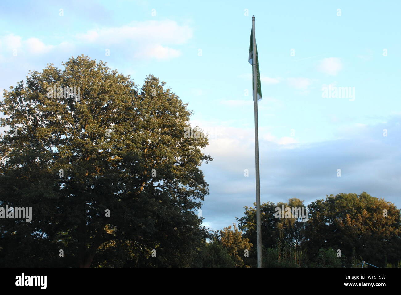 Bandiera pole e grandi alberi di fronte a un luminoso cielo blu Foto Stock