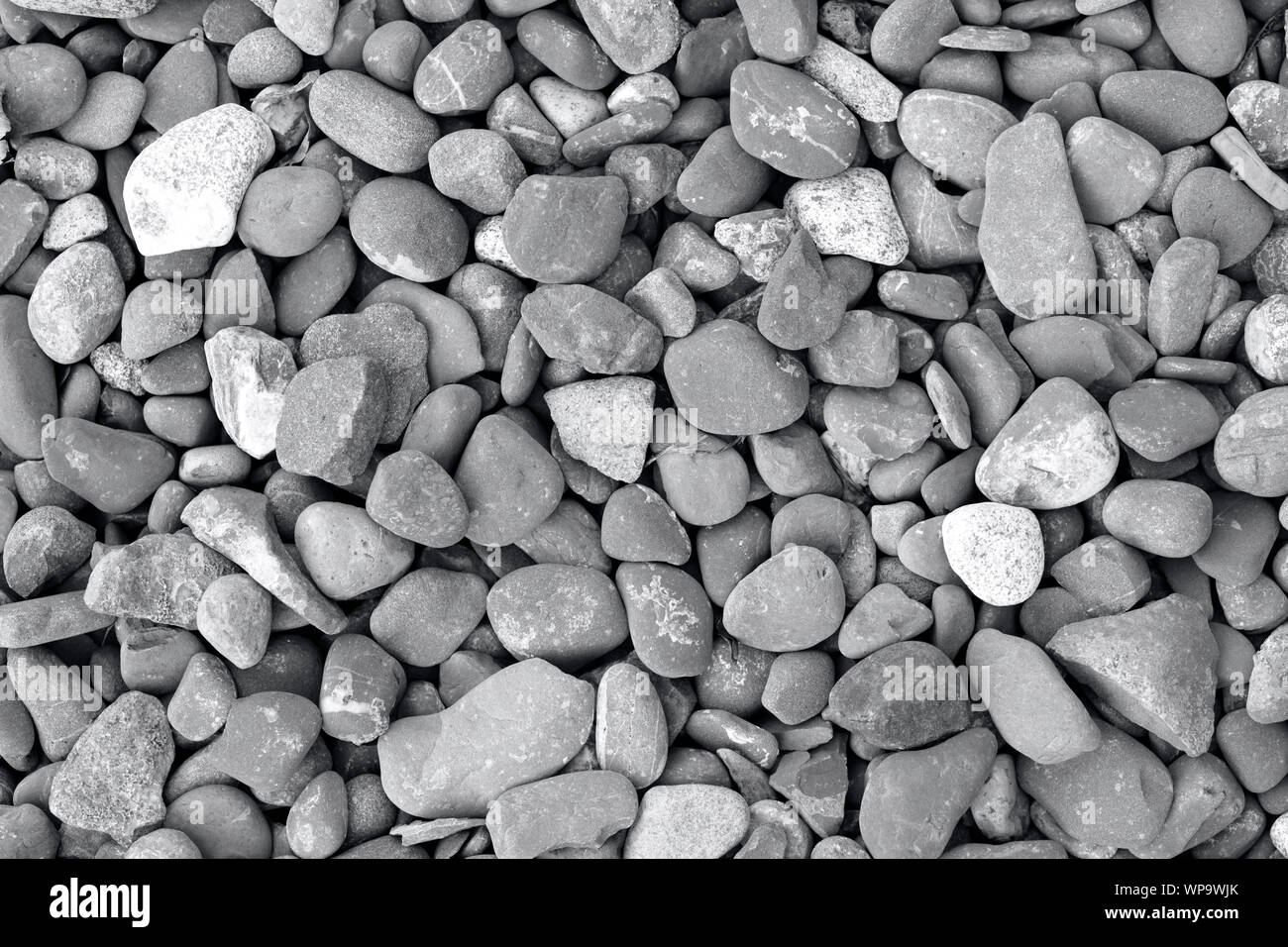 Sfondo di ciotoli arrotondati sulla spiaggia, la fotografia in bianco e nero Foto Stock