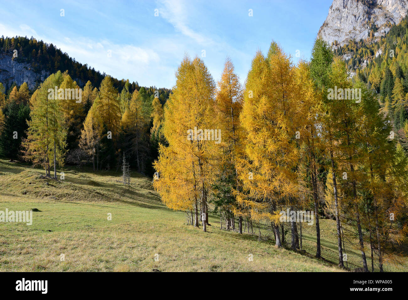 Il meraviglioso autunno in montagna Foto Stock