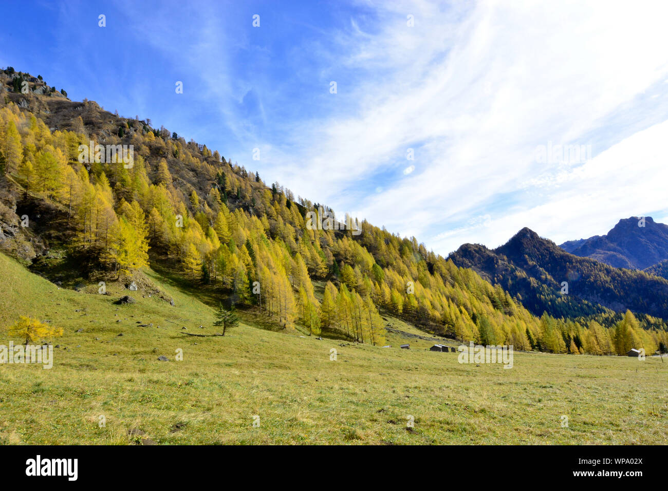 Il meraviglioso autunno in montagna Foto Stock