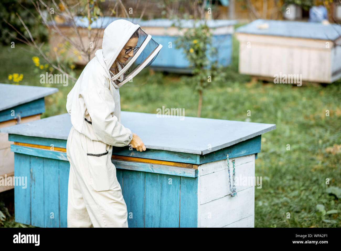 Apicoltore di giovani in uniforme di protezione alveare di apertura mentre si lavora sull'apiario Foto Stock