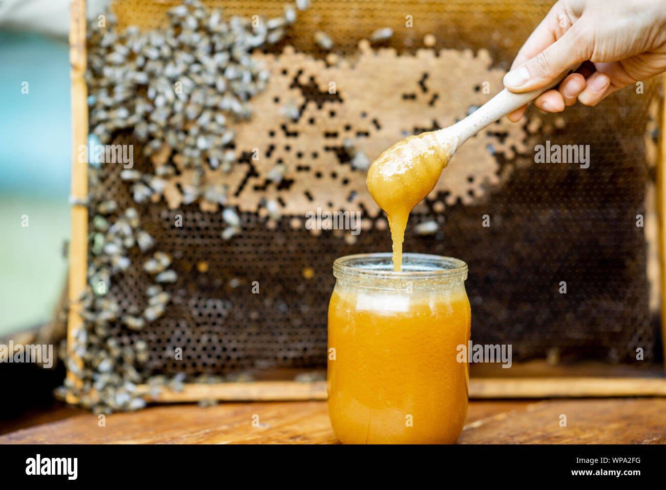 Vaso con miele fresco sull'alveare con il nido d'ape sullo sfondo Foto Stock