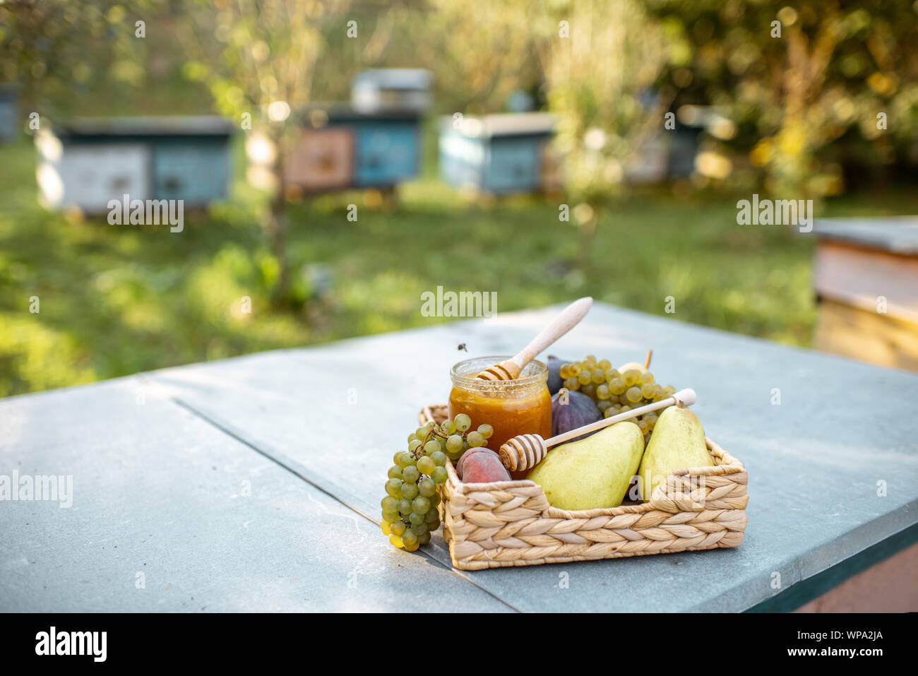 Composizione di frutti dolci e jar con del miele per alveare all'alveare, immagine con spazio di copia Foto Stock