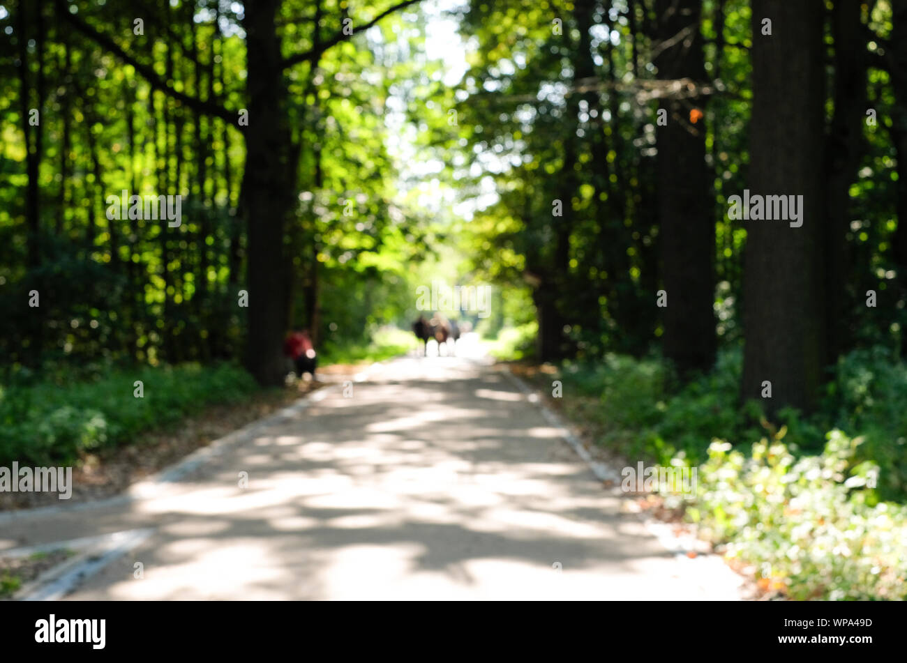 Sfocato sfondo sfocato di d'estate il parco con la gente a piedi. Attività ricreative all'aperto in città con la famiglia e gli amici Foto Stock