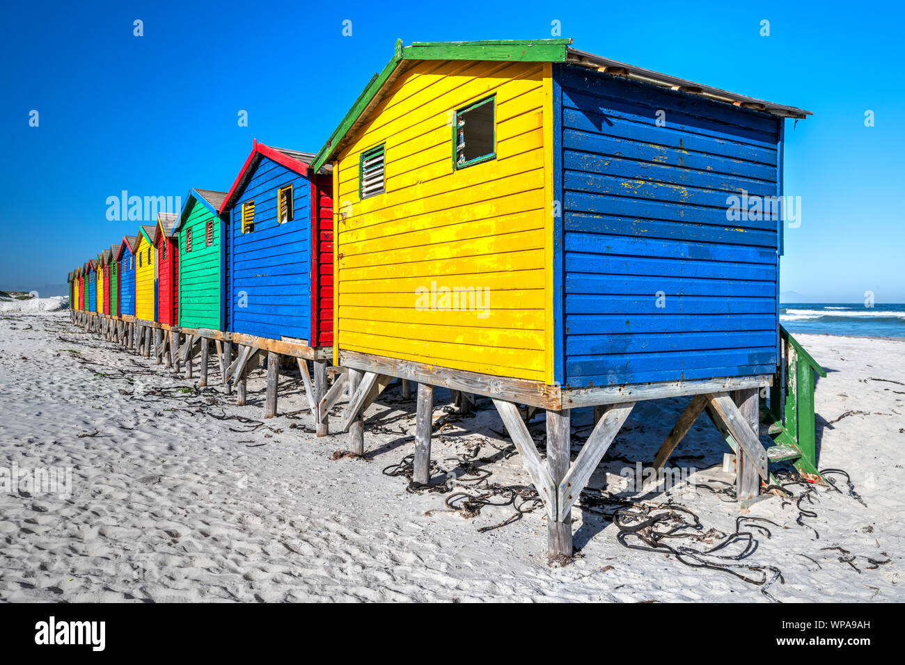 Spiaggia di colorate case sulla spiaggia, Muizenberg, Cape Town, Western Cape, Sud Africa Foto Stock