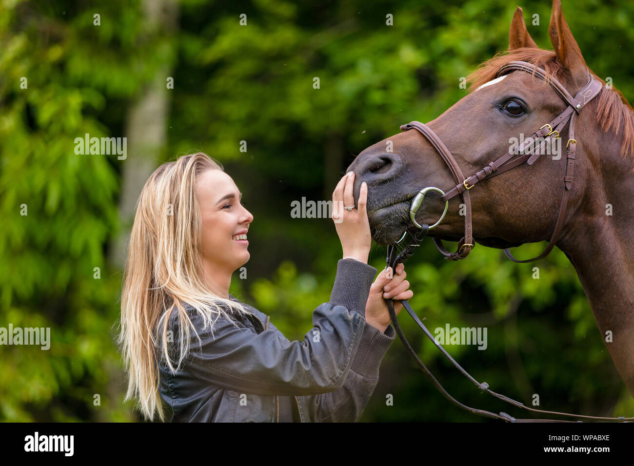 Close-up di donna sorridente alimentando il suo cavallo arabo con spuntini Foto Stock
