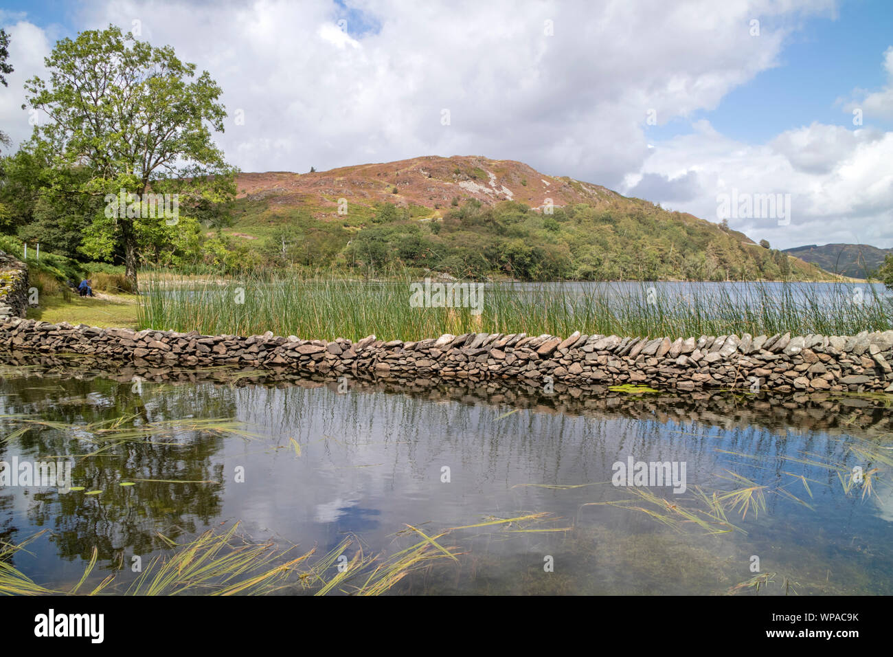 Llyn Cynwch lago sul popolare precipizio a piedi, Snowdonia National Park, North Wales, Regno Unito Foto Stock