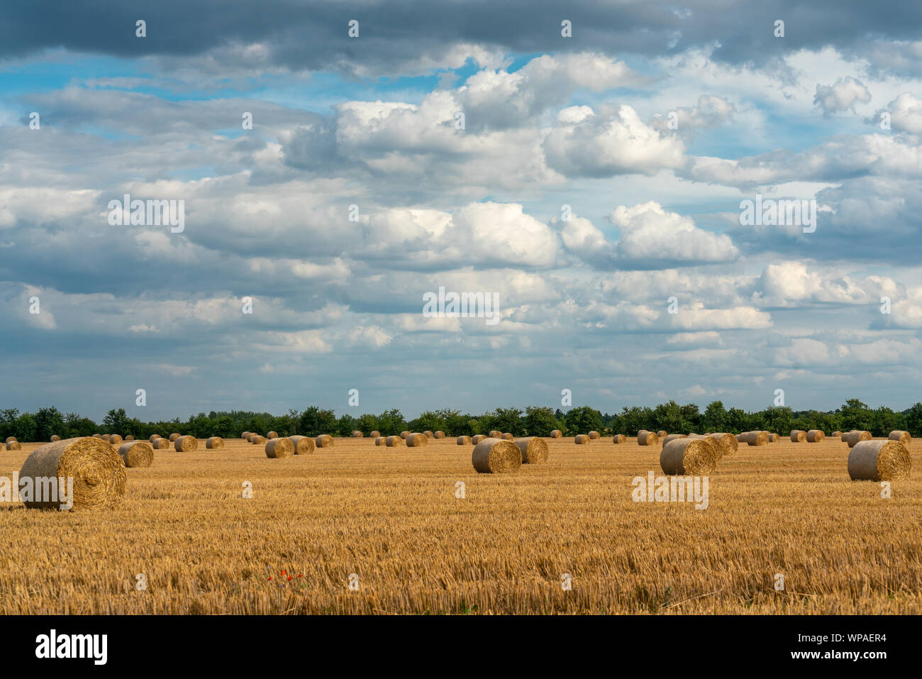 Allegro autunno scena con le balle di paglia su una falciata campo di grano sotto il sole con nubi imponenti in skye Foto Stock