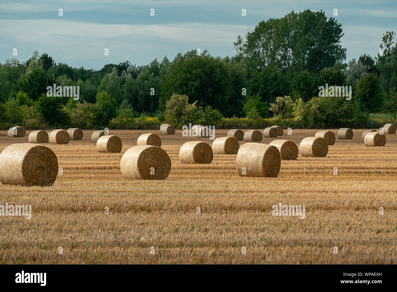 Allegro autunno scena con le balle di paglia su una falciata campo di grano sotto il sole con nubi imponenti in skye Foto Stock