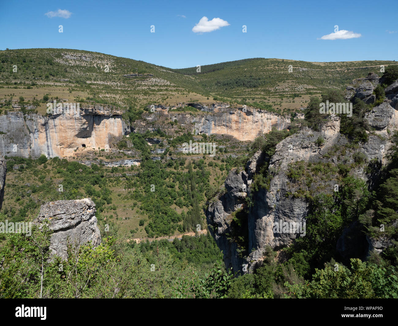 Tarn Gorge Cévennes Francia Foto Stock