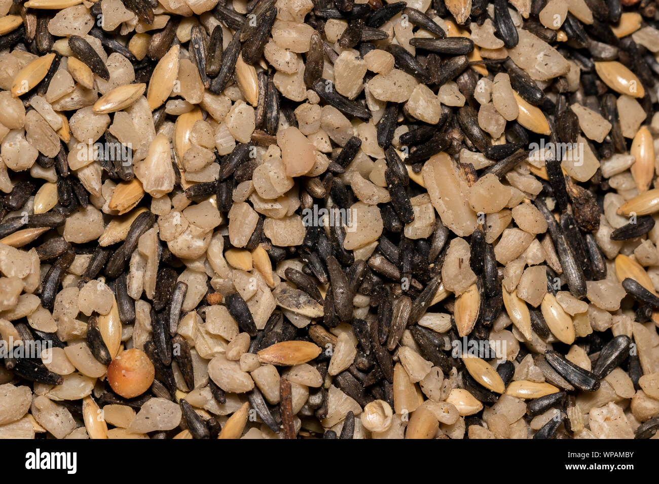 Miscela di semi costituito da trucioli di girasole, Canarie e nyjer thistle sementi utilizzate come birdseed finch il cibo Foto Stock