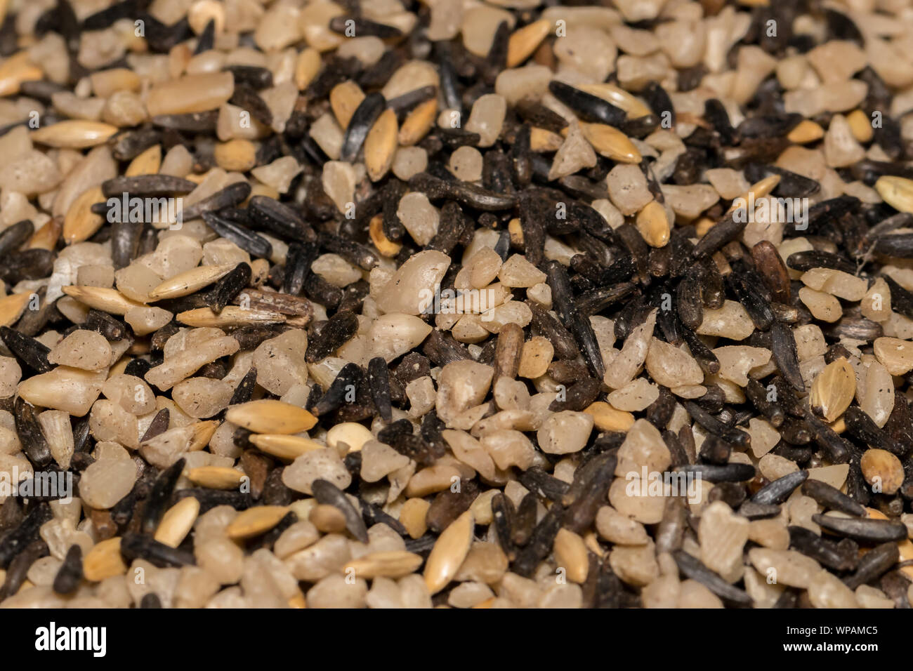 Miscela di semi costituito da trucioli di girasole, Canarie e nyjer thistle sementi utilizzate come birdseed finch il cibo Foto Stock