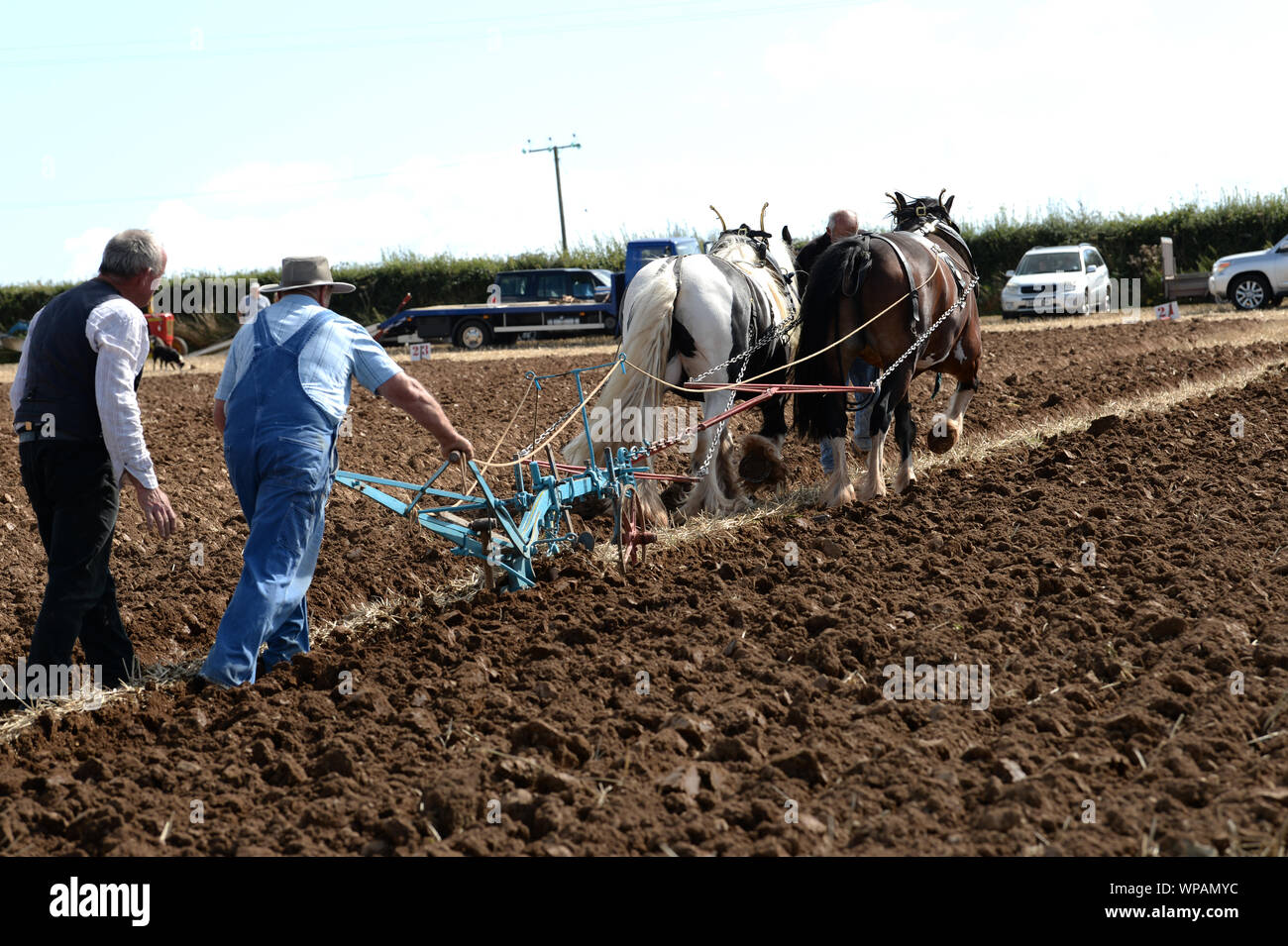 Team di 2 cavalli di Cobb arare il terreno in Gower Match di aratura. Le pratiche agricole tradizionali sono in grado di preservare la salute del suolo, con minor compattazione. Foto Stock