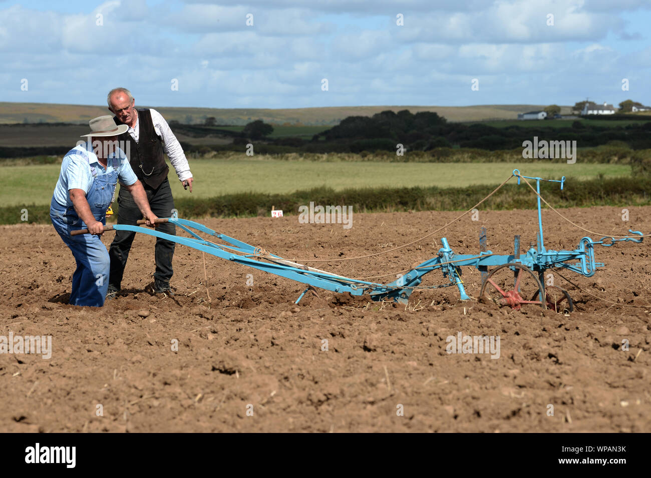 Team di 2 cavalli di Cobb arare il terreno in Gower Match di aratura. Le pratiche agricole tradizionali sono in grado di preservare la salute del suolo, con minor compattazione. Foto Stock