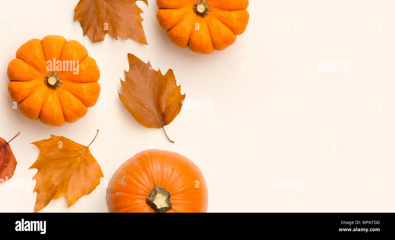Una composizione di autunno vista superiore realizzata con zucche e asciugare le foglie di autunno. Camera per contenuti e testo. Foto Stock