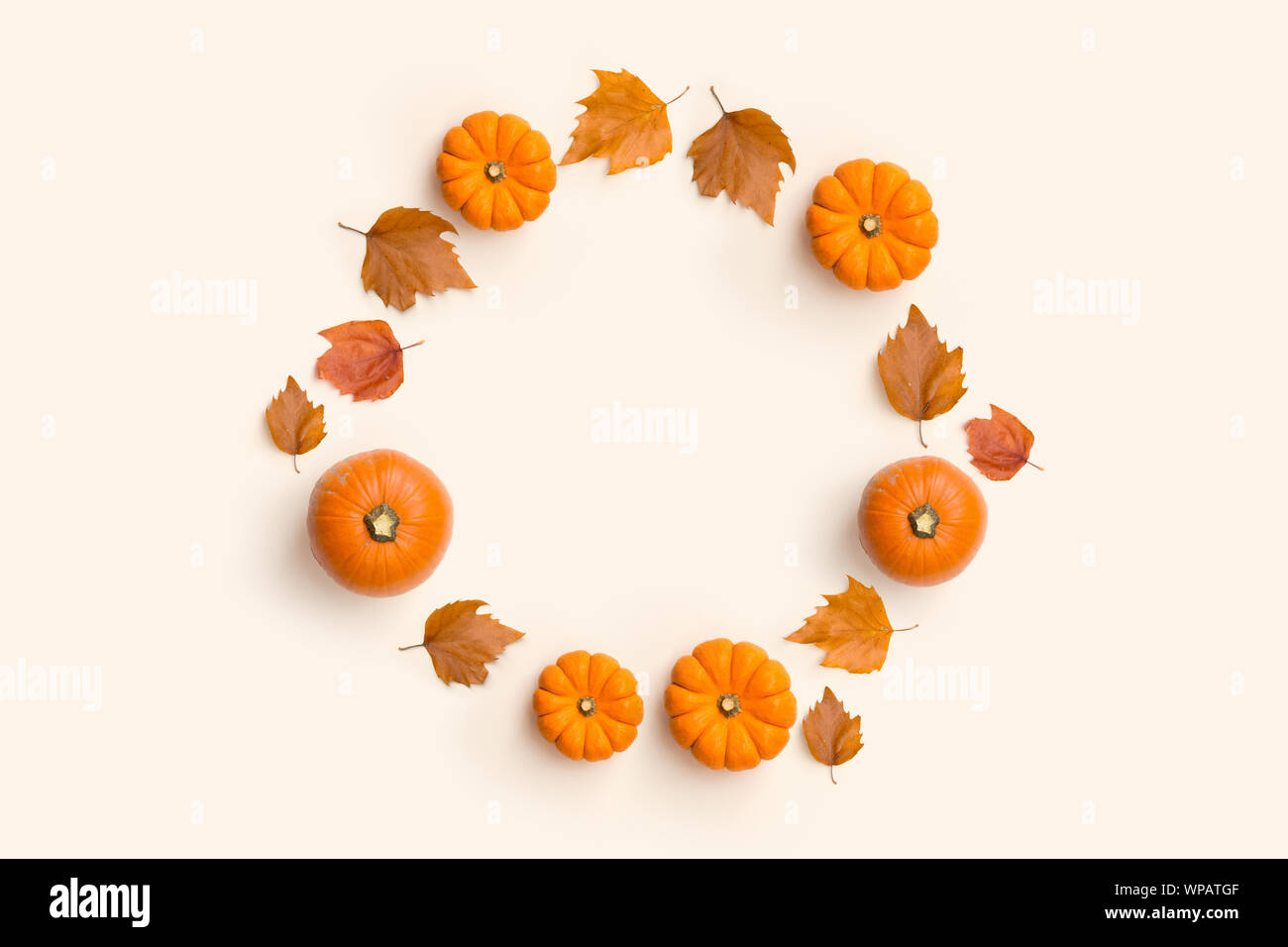 Autunno Autunno sfondo contemporaneo composizione con zucche e foglie in una forma circolare. Foto Stock