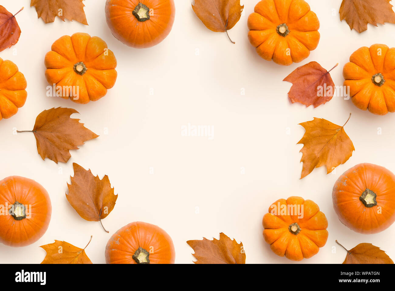 Un moderno telaio autunno sfondo con zucche e foglie. Foto Stock