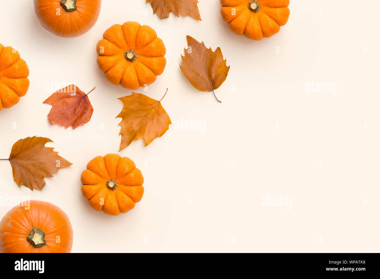 Autumn Fall e raccolto sfondo contemporaneo composizione con zucche e foglie. Foto Stock