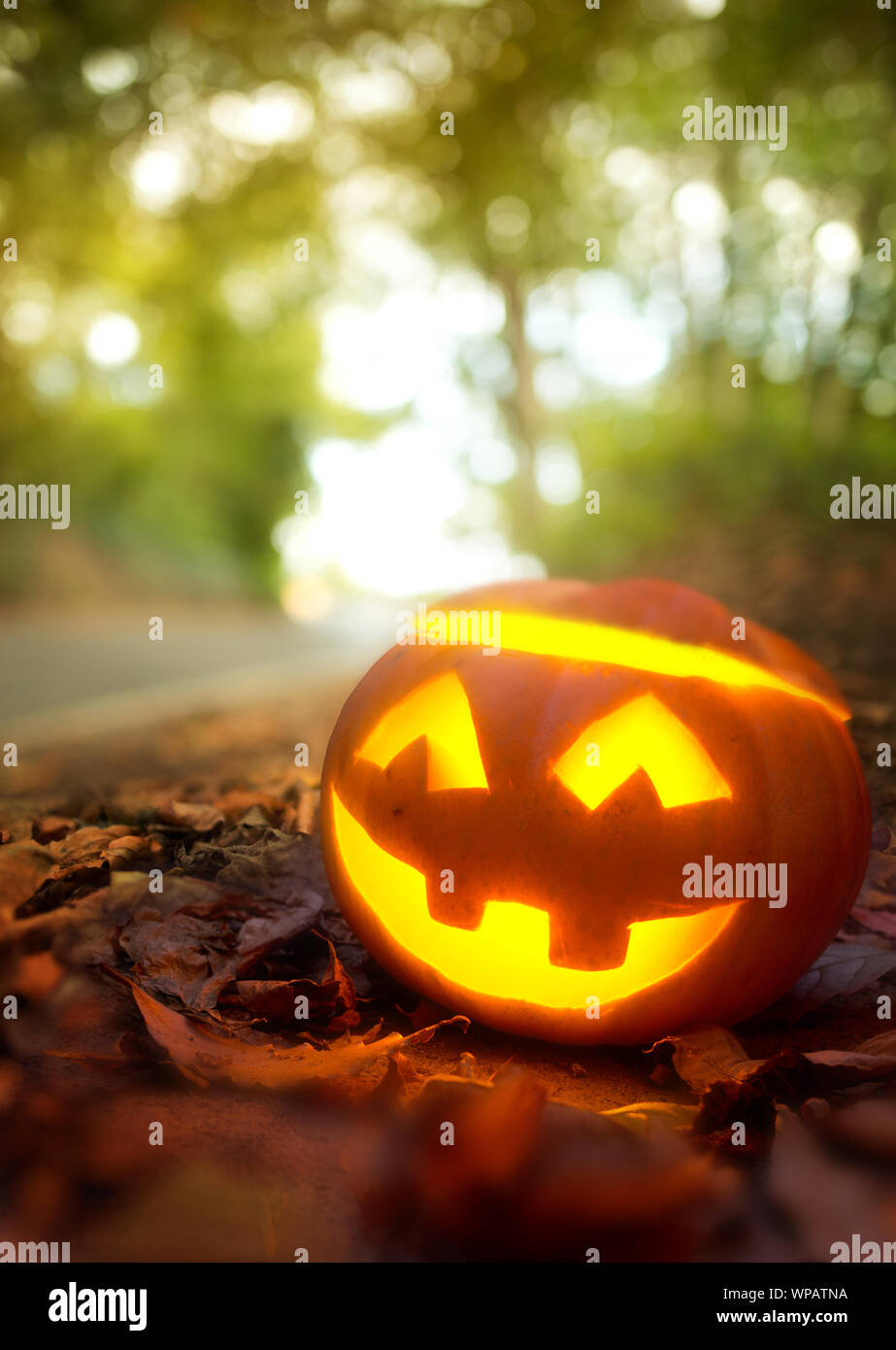 Un Halloween zucca intagliata Jack O Lantern esterno circondato da autunno cadono le foglie. Foto Stock