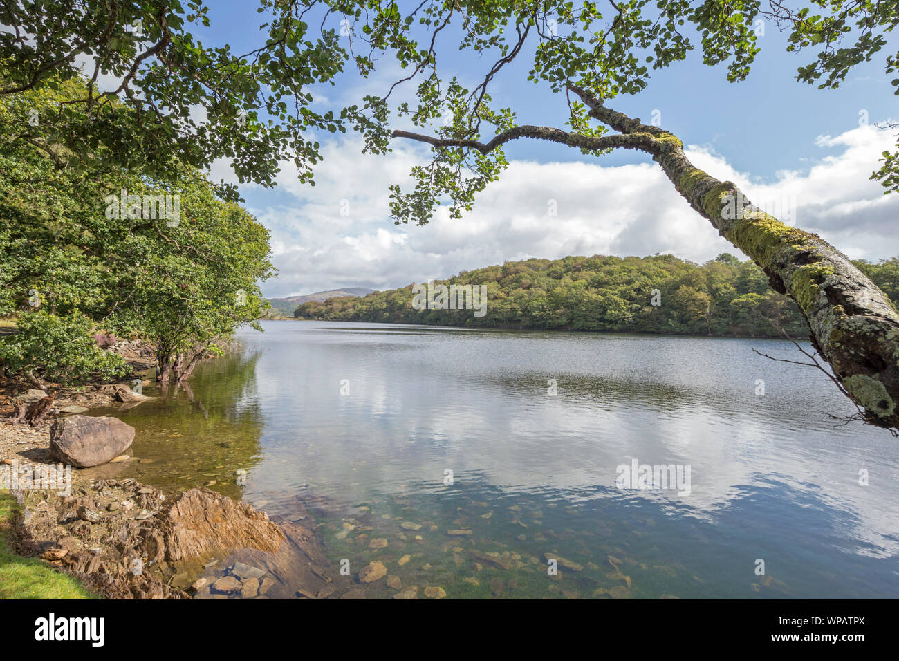 Llyn Cynwch lago sul popolare precipizio a piedi, Snowdonia National Park, North Wales, Regno Unito Foto Stock