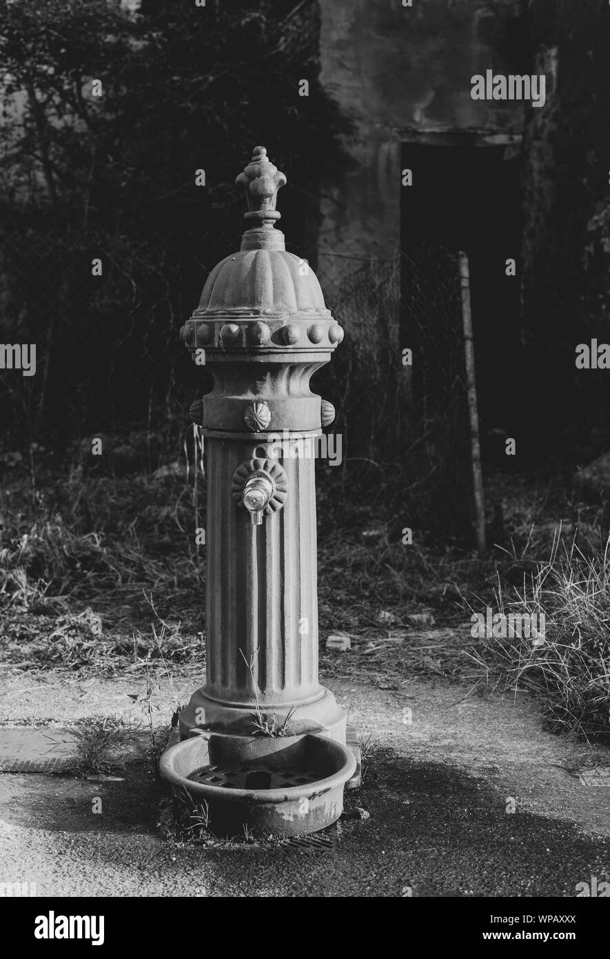 Primo piano della idrante vintage, in bianco e nero Foto Stock