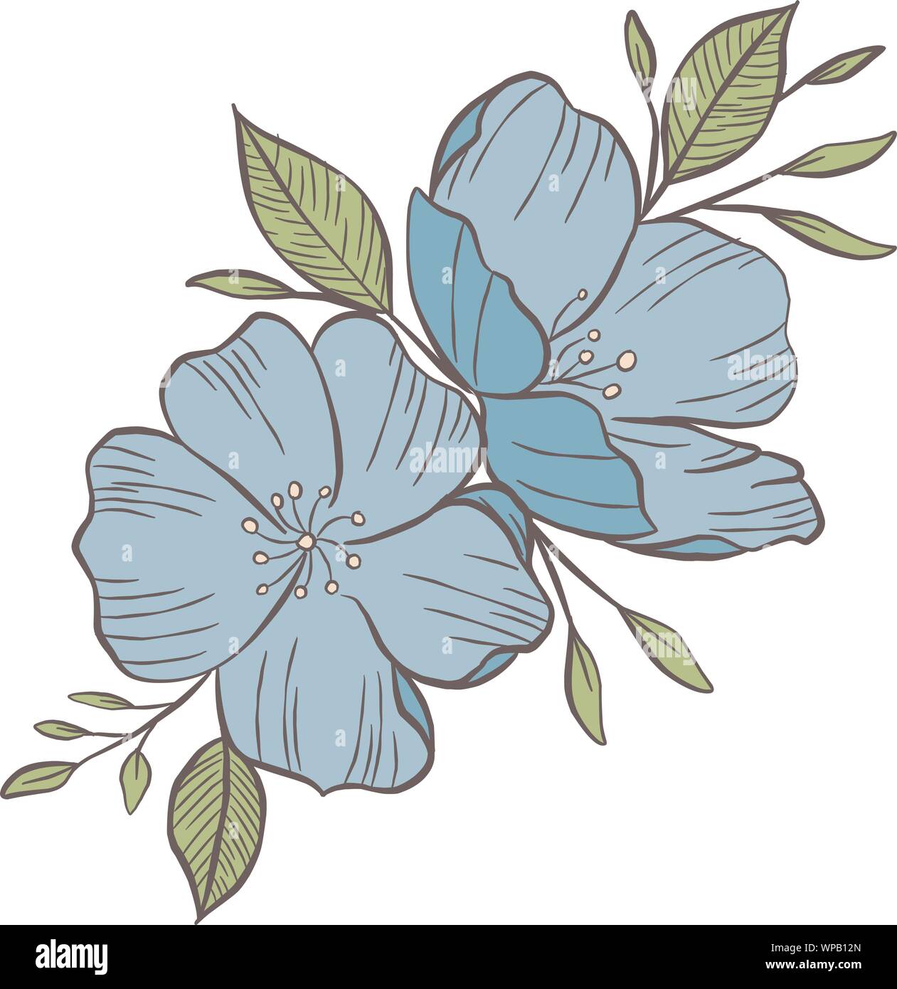 Vettore di disegno di fiori e foglie, isolata composizione floreale, disegnato a mano illustrazione botanica Illustrazione Vettoriale