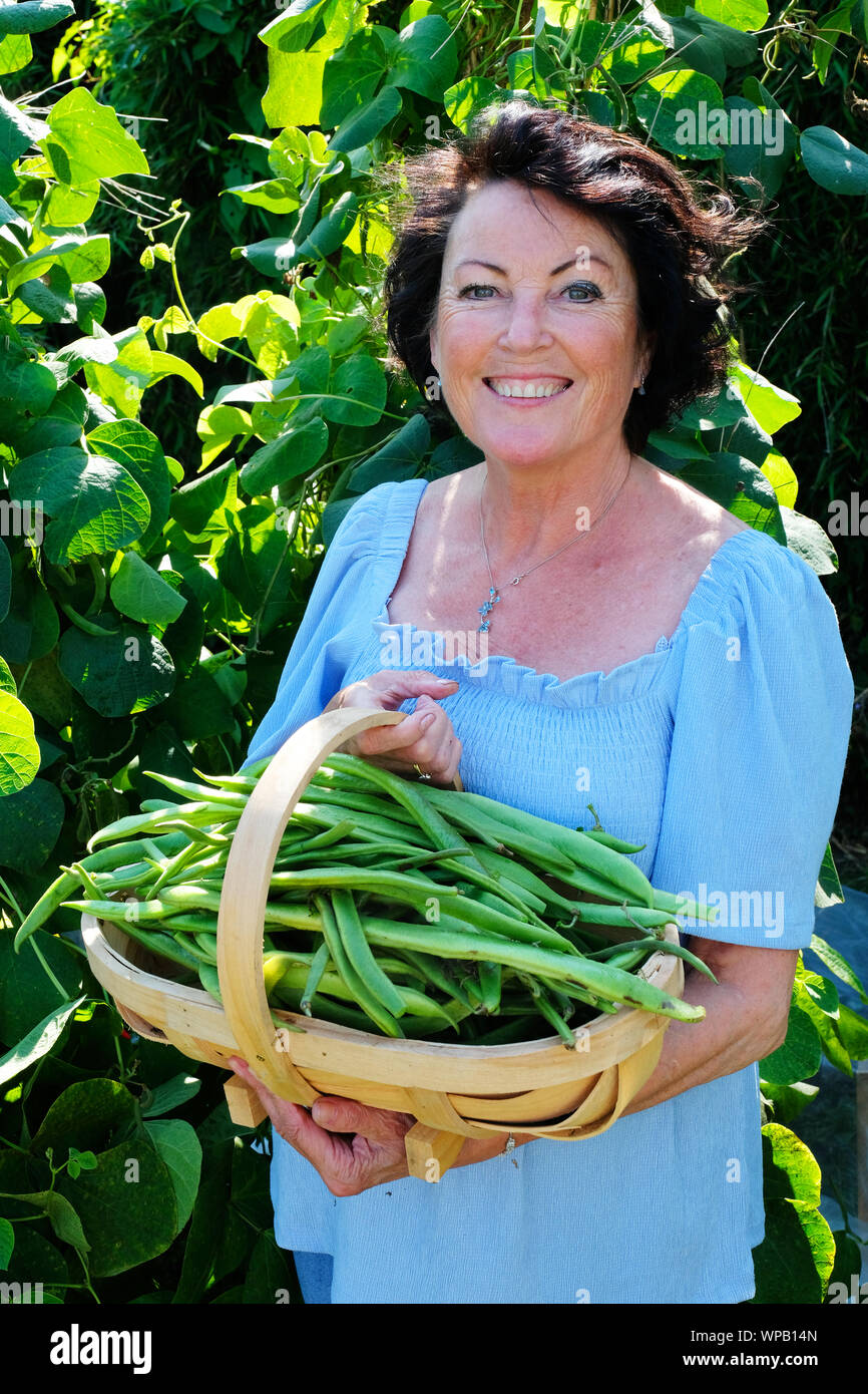 Adulto lady picking i baccelli - Giovanni Gollop Foto Stock