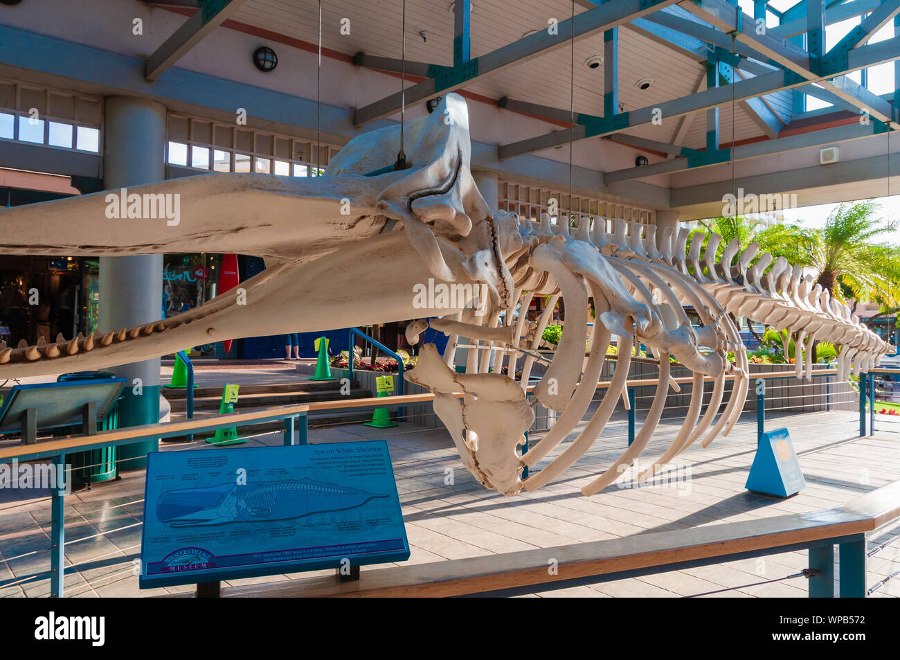 Il Whaler's Village shopping mall sull'isola tropicale di Maui, Hawaii, STATI UNITI D'AMERICA Foto Stock