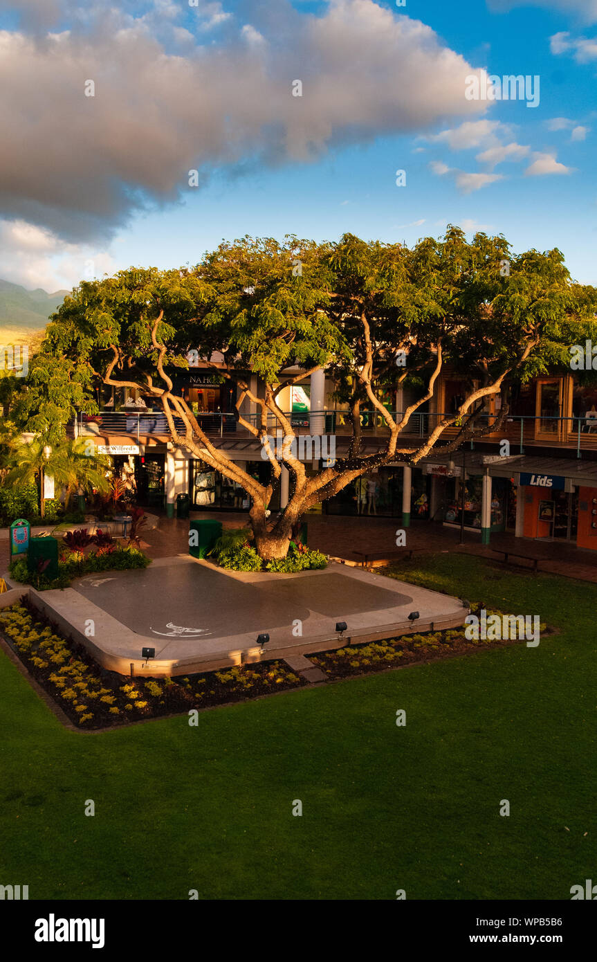 Il Whaler's Village shopping mall sull'isola tropicale di Maui, Hawaii, STATI UNITI D'AMERICA Foto Stock