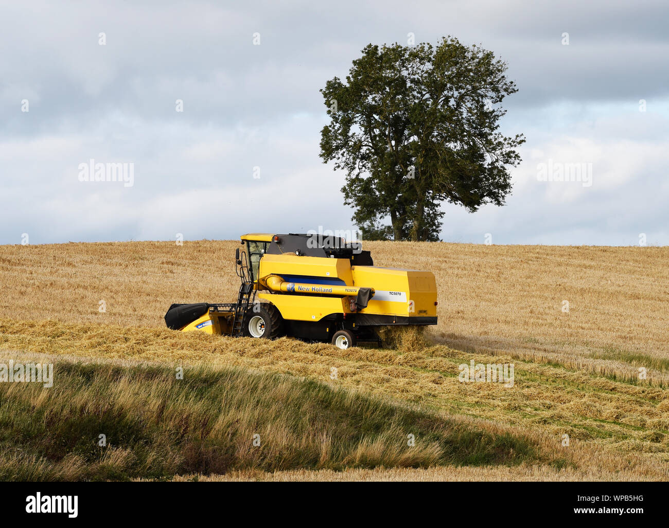 New Holland mietitrebbia lavorando in un campo nei pressi di Smailholm, Scottish Borders, Scozia. Foto Stock