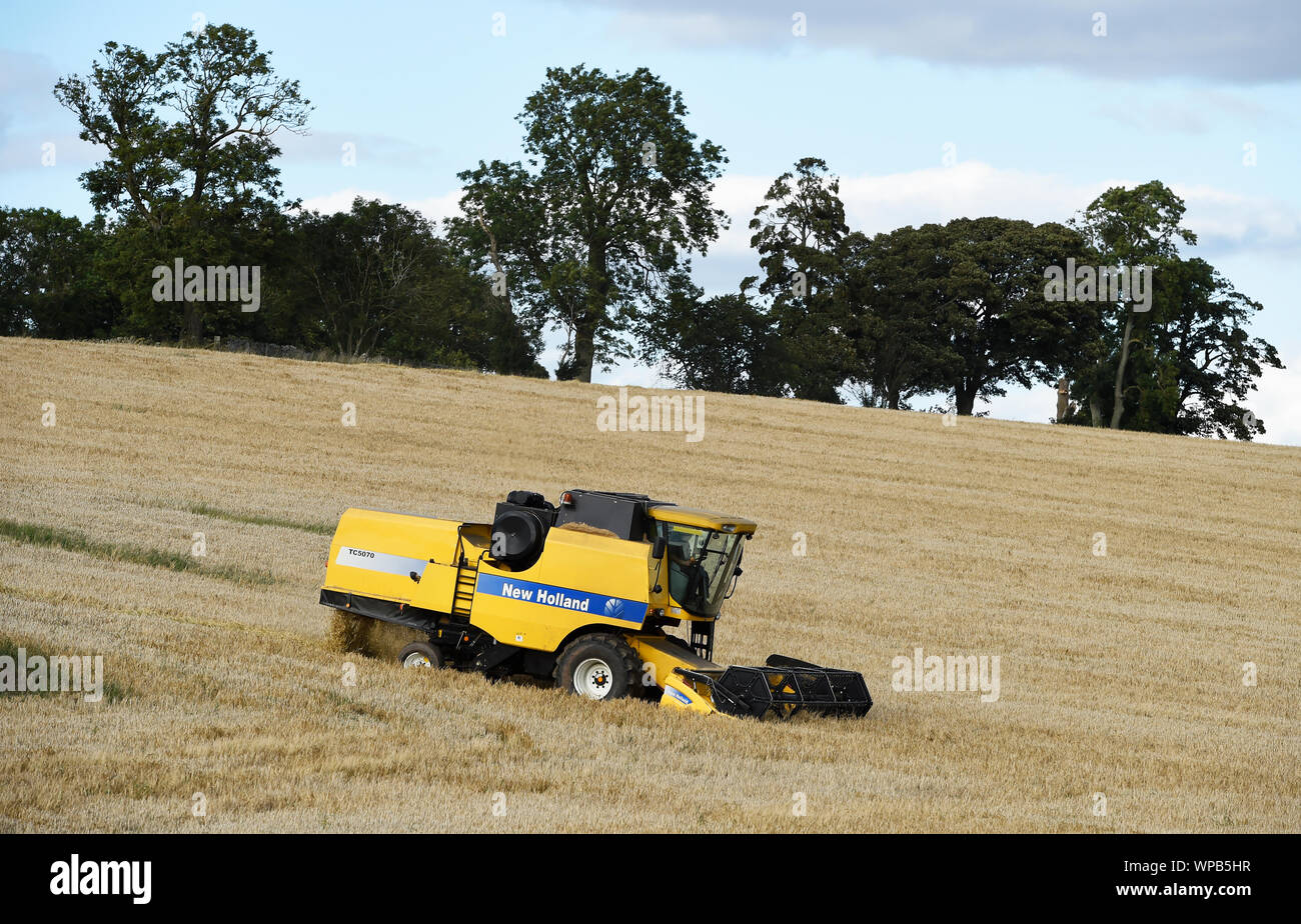 New Holland mietitrebbia lavorando in un campo nei pressi di Smailholm, Scottish Borders, Scozia. Foto Stock