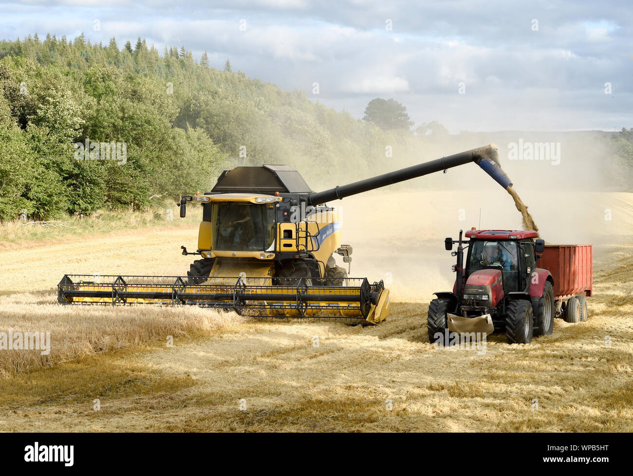 New Holland mietitrebbia lavorando in un campo vicino a Pathhead, Midlothian, Scozia. Foto Stock