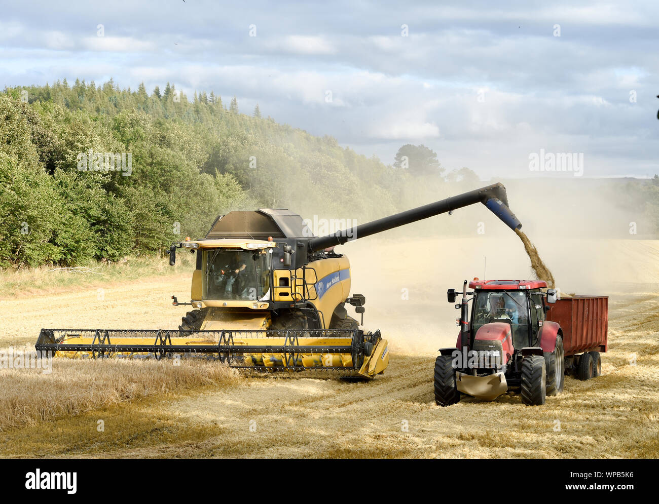 New Holland mietitrebbia lavorando in un campo vicino a Pathhead, Midlothian, Scozia. Foto Stock