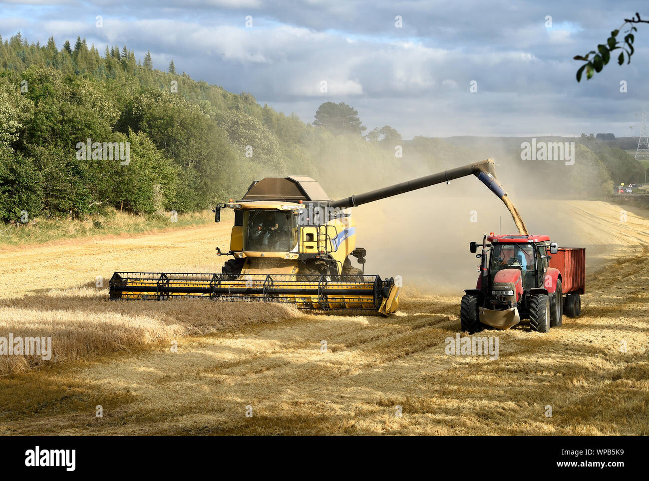 New Holland mietitrebbia lavorando in un campo vicino a Pathhead, Midlothian, Scozia. Foto Stock