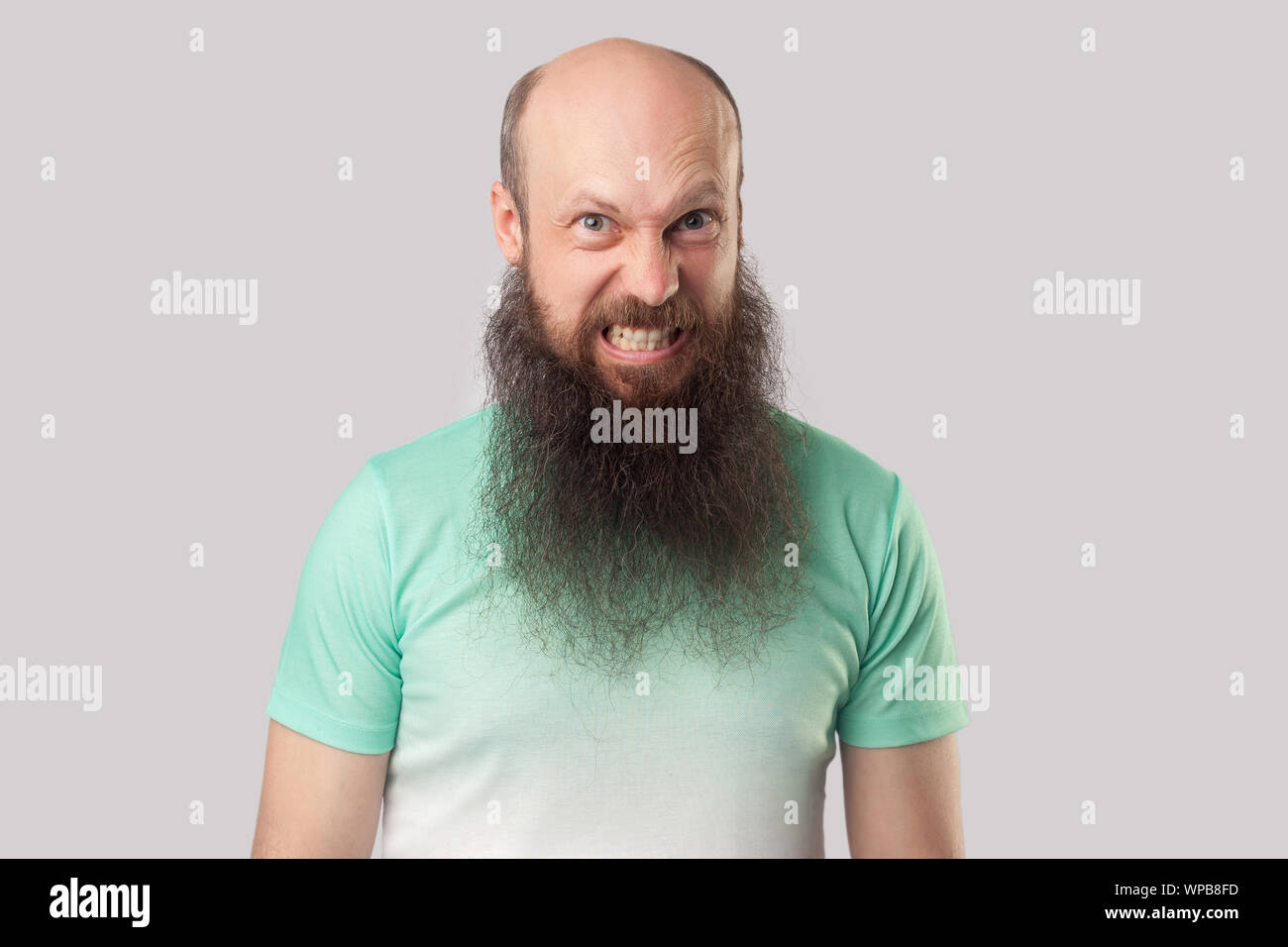 Ritratto di angry crazy medio di età compresa tra uomo calvo con barba lunga in verde chiaro t-shirt in piedi con mad faccia, denti di aggraffaggio e guardando la telecamera ind. Foto Stock