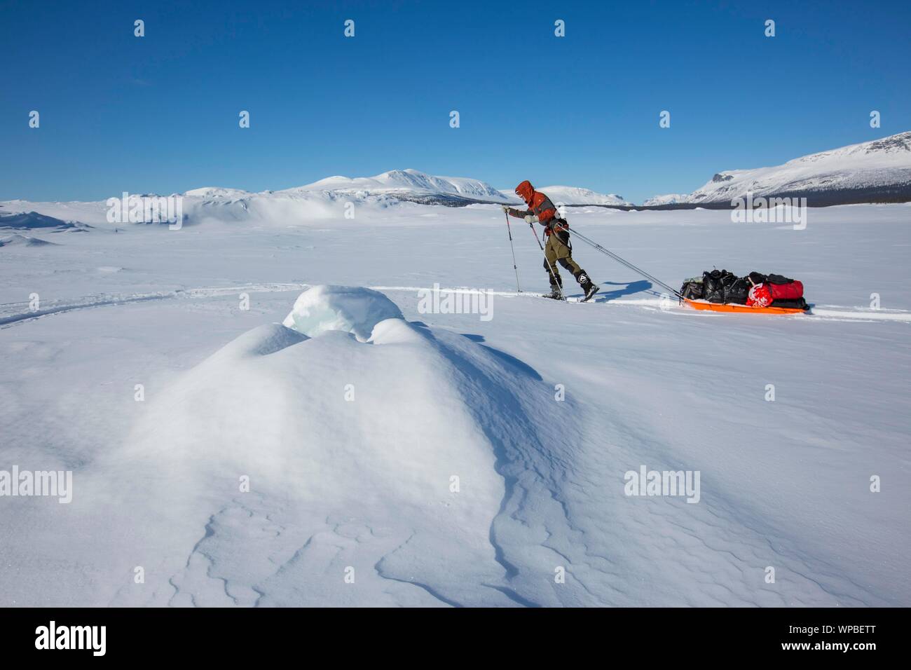 Ski tourer con Pulka nella neve, Kungsleden o Konigsweg, provincia della Lapponia, Svezia Foto Stock