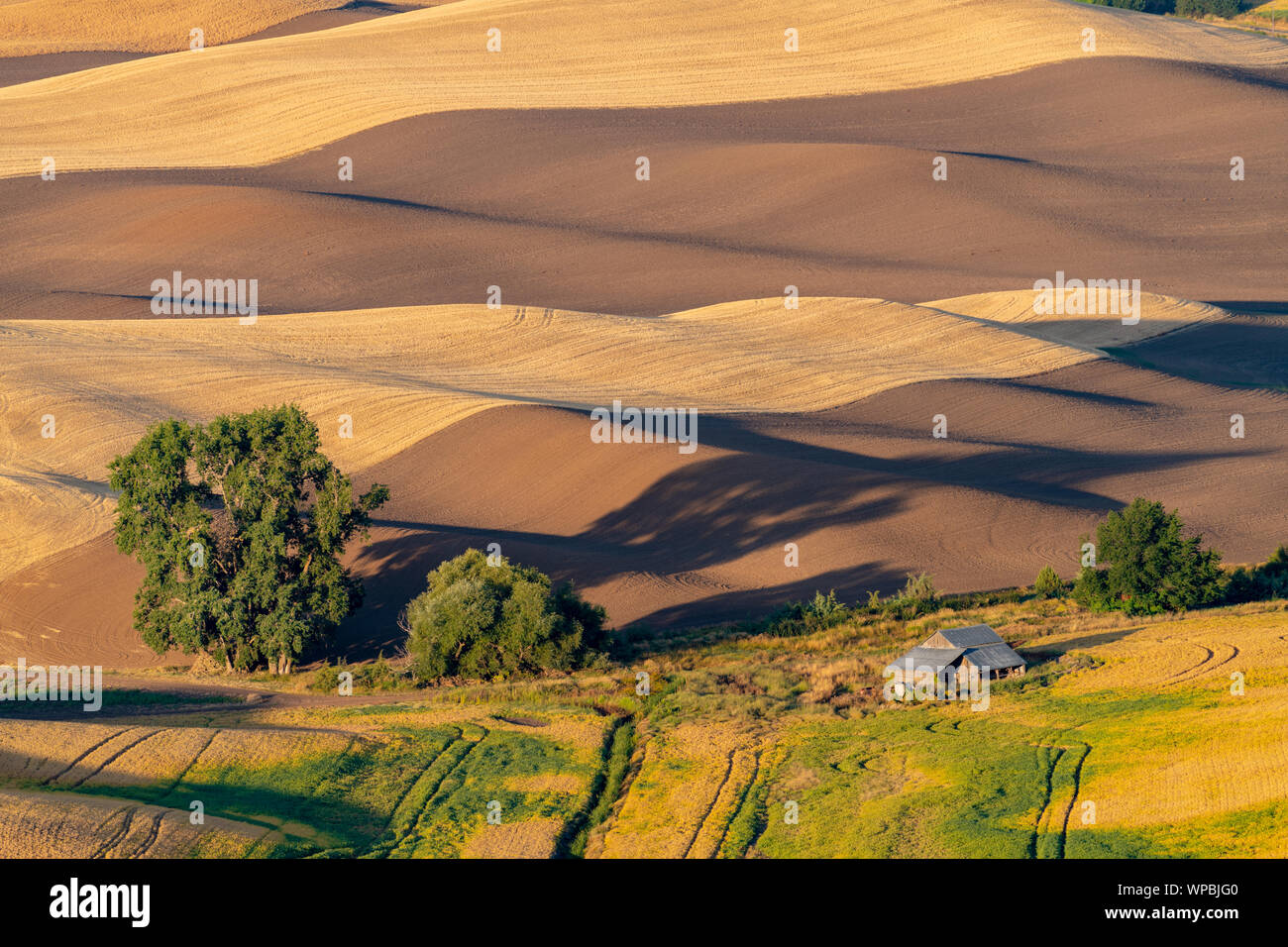 Lontano i campi agricoli nella luce del mattino con lunghe ombre attraverso campi arati Foto Stock