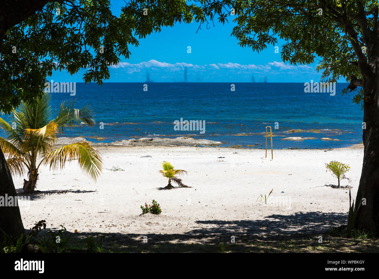 Enormi cumuli di Lago di mosche Chaoborus edulis presso il Lago Malawi, Africa Foto Stock