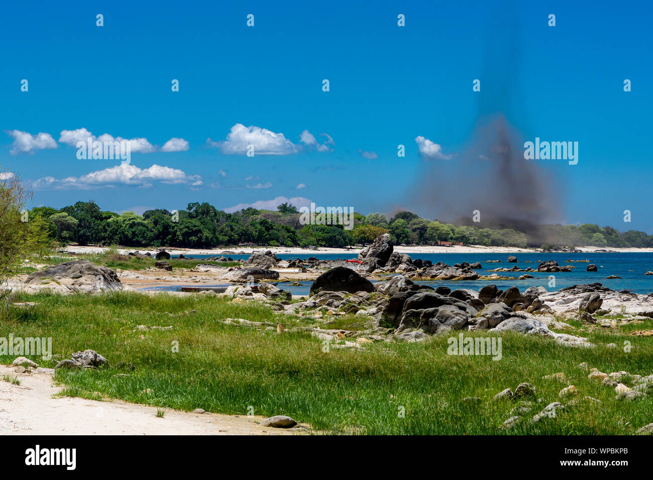 Enorme pila del Lago di mosche di raggiungere la spiaggia del Lago Malawi, Africa Foto Stock