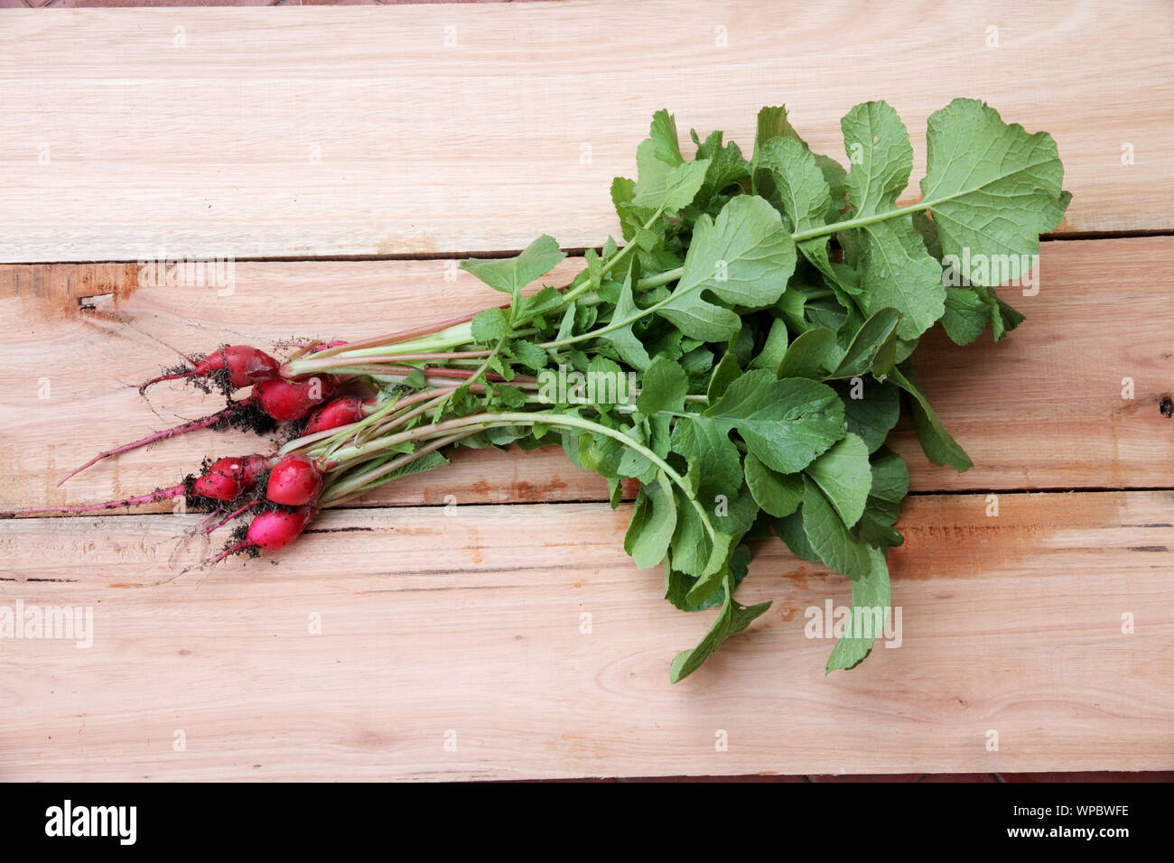 Cucina con sfondo ravanelli su sfondo di legno Foto Stock
