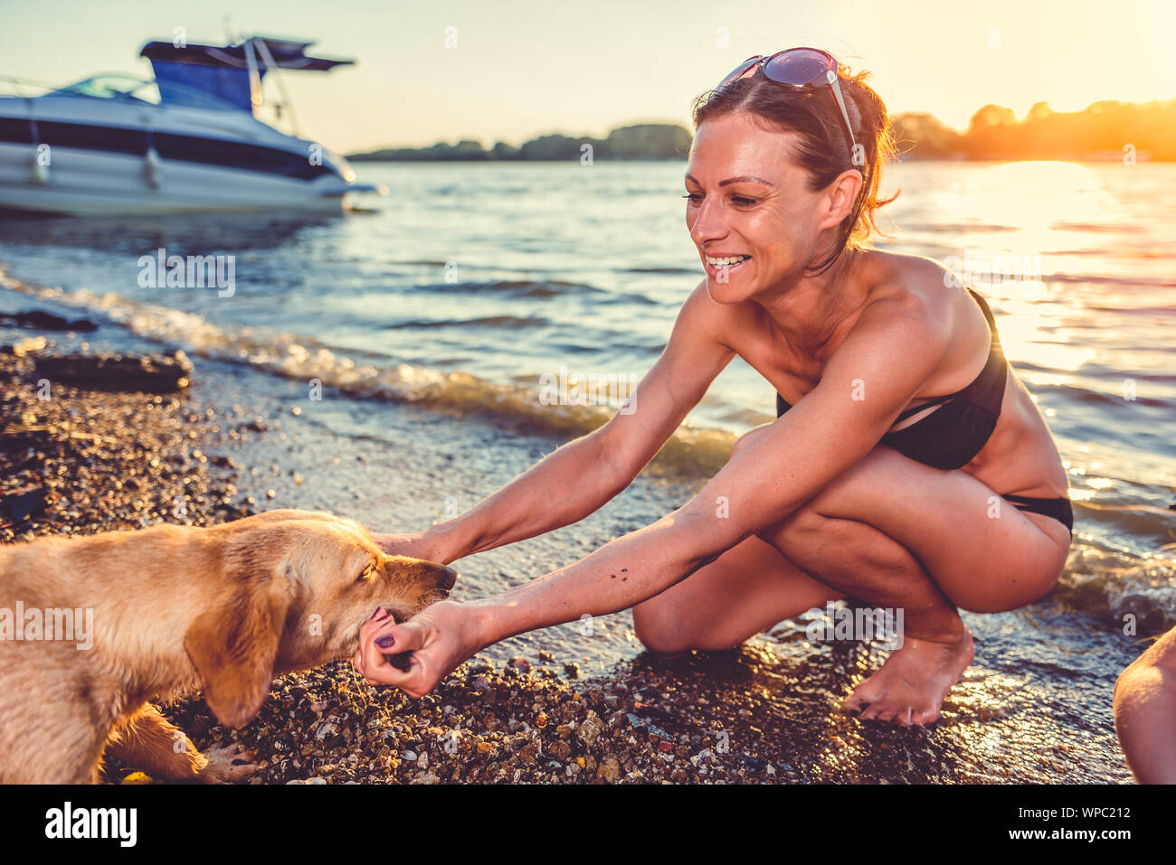 La donna e il suo cane giocando sulla spiaggia Foto Stock La donna e il suo cane giocando sulla spiaggia Foto Stock