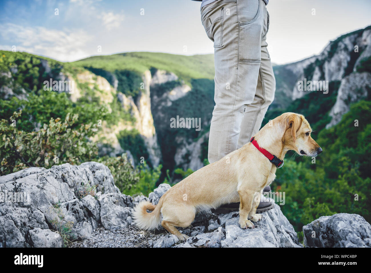 Escursionista e il suo piccolo cane giallo permanente sulla cima della montagna e guardando a lui la distanza Foto Stock Escursionista e il suo piccolo cane giallo permanente sulla cima della montagna e guardando a lui la distanza Foto Stock