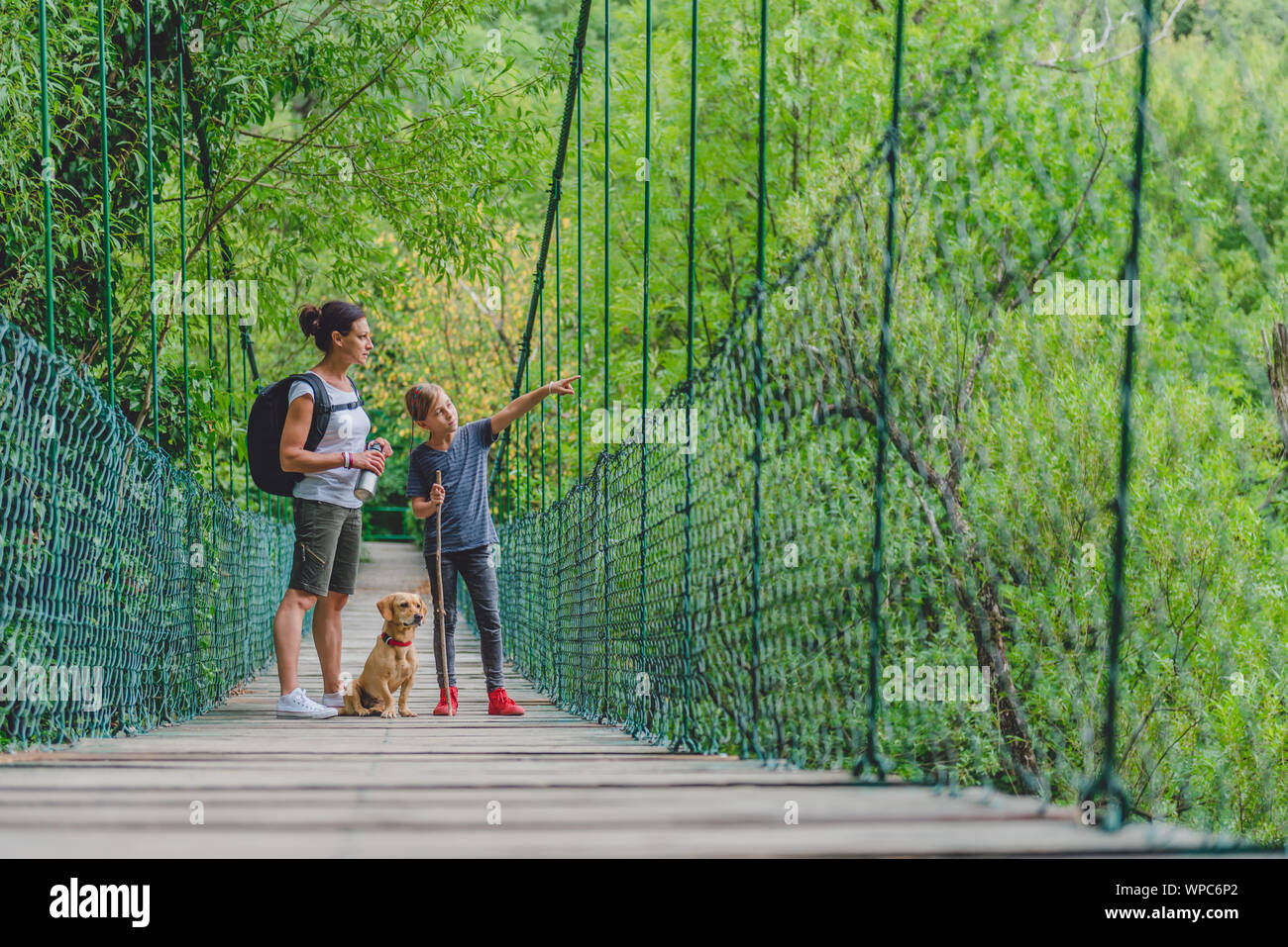 Madre e figlia camminare su legno ponte di sospensione con un piccolo cane giallo nella foresta Foto Stock