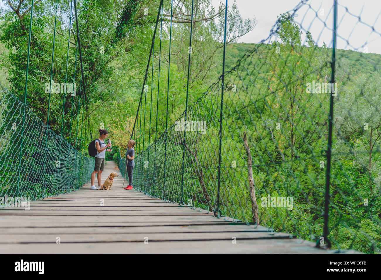 Madre e figlia camminare su legno ponte di sospensione con un piccolo cane giallo nella foresta Foto Stock