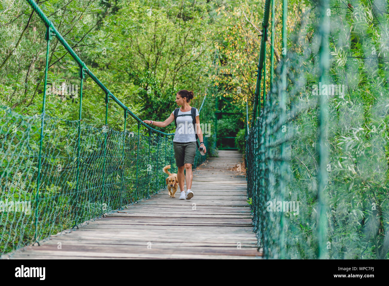 Le donne e le piccole yellow dog camminare su legno ponte di sospensione nella foresta Foto Stock
