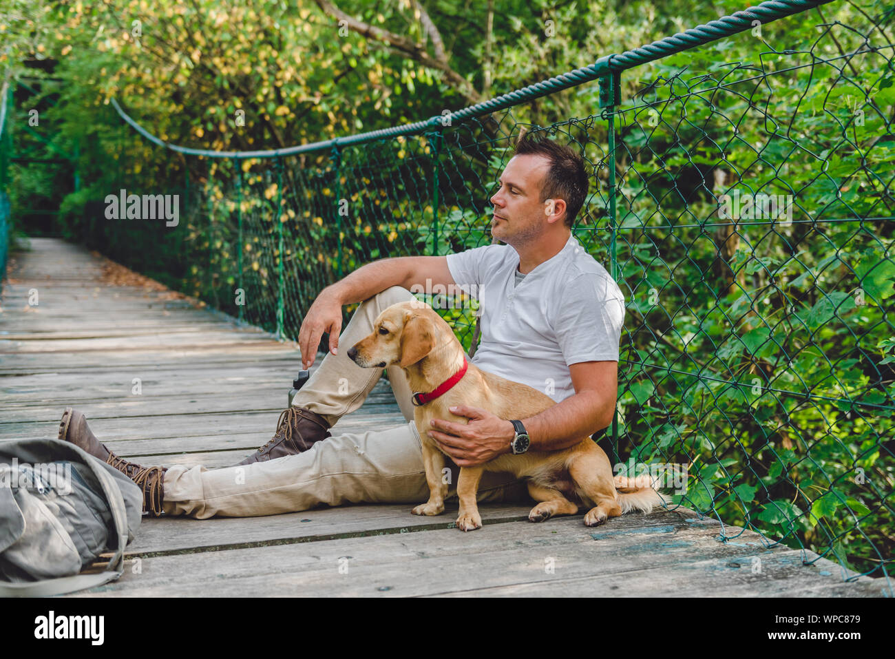 Escursionista con un piccolo cane giallo in appoggio sul legno ponte di sospensione nella foresta Foto Stock Escursionista con un piccolo cane giallo in appoggio sul legno ponte di sospensione nella foresta Foto Stock