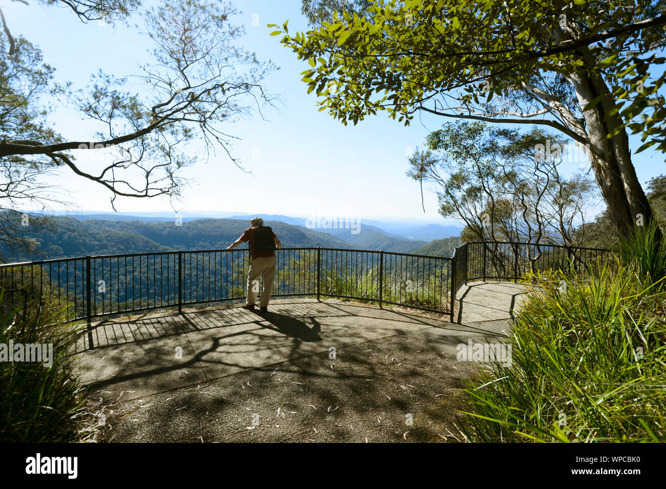 Visitatore godendo della vista panoramica su Springbrook Parco nazionale presso il Canyon Lookout, entroterra della Gold Coast, Queensland, QLD, Australia Foto Stock