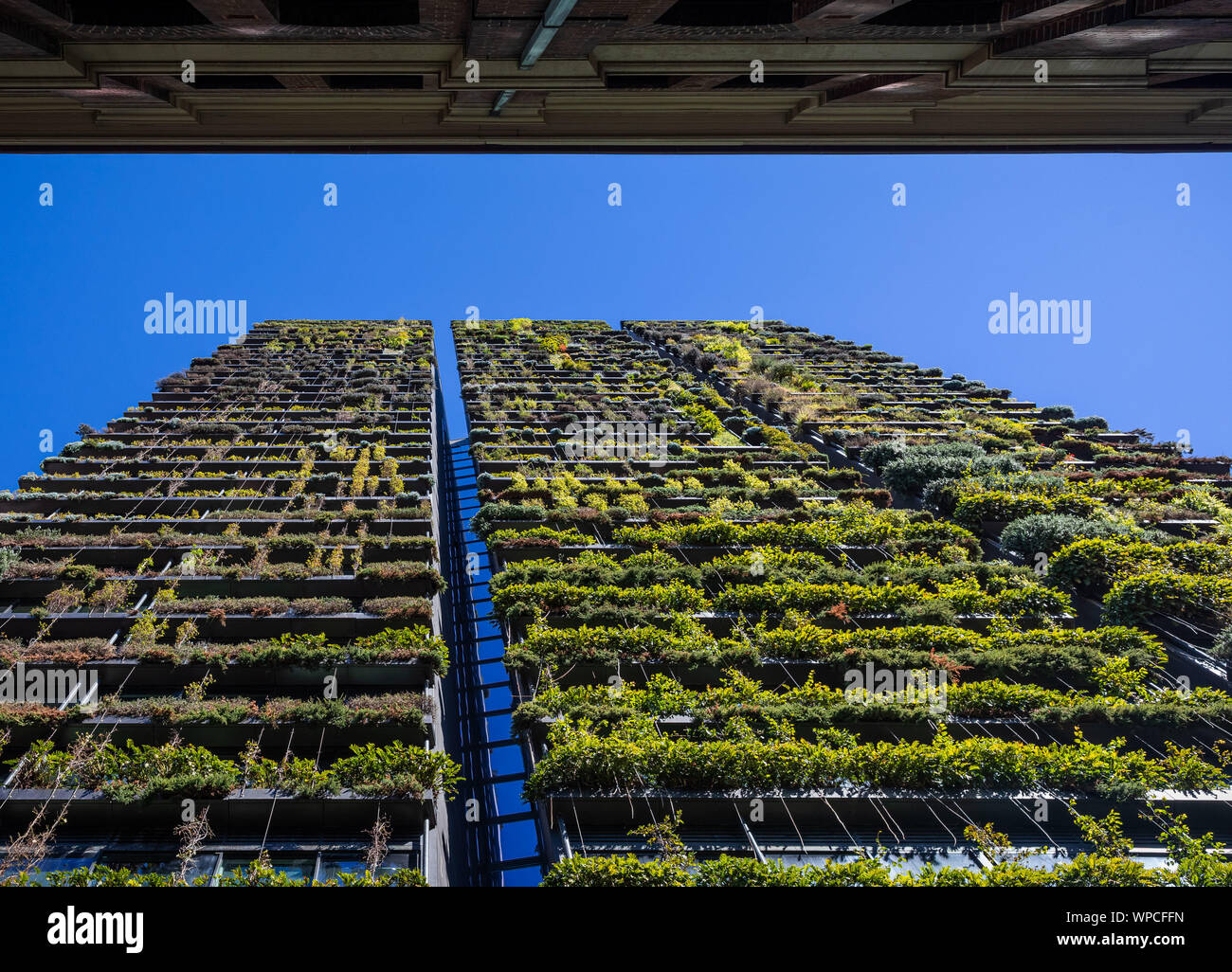 Un Parco Centrale di Sydney - un insolito edificio verde Foto Stock